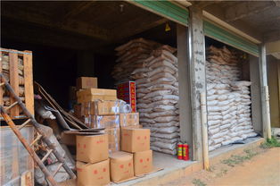 厦门沉香加工产业与建筑脚手架租赁服务概览