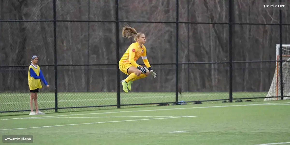 为什么选择我们